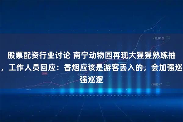 股票配资行业讨论 南宁动物园再现大猩猩熟练抽烟，工作人员回应：香烟应该是游客丢入的，会加强巡逻